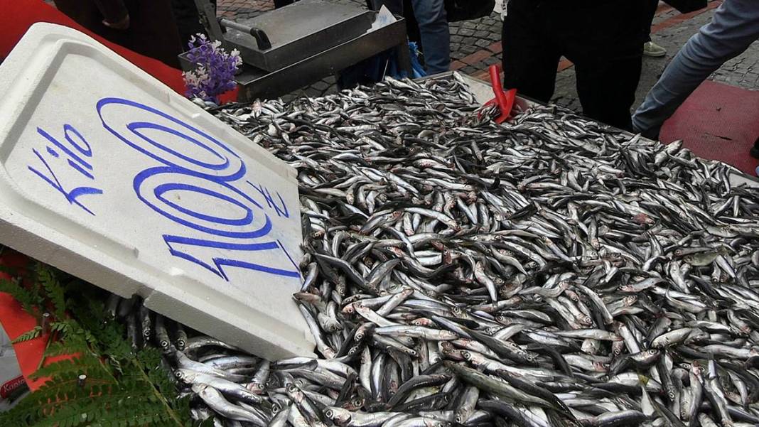 Kilosu bir günde 300 TL'den 100 TL'ye düşünce kasa kasa satıldı! O kentte bolluk yaşanıyor 4